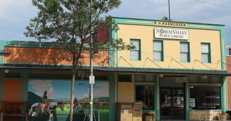 Stevensville library book sale set for October