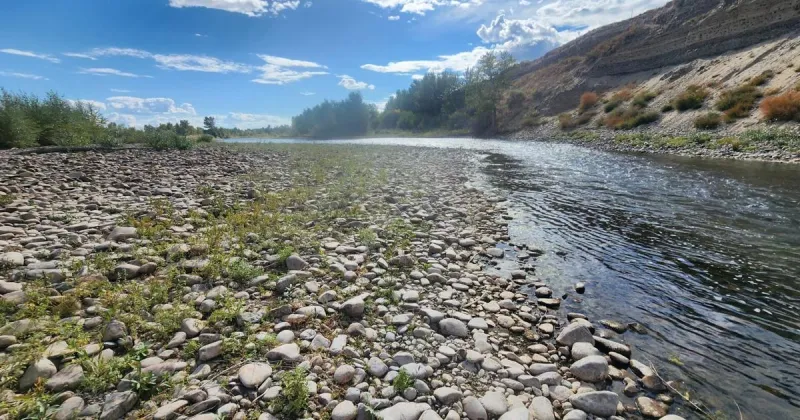 Upper and lower sections of Big Hole River closed to fishing due to low flows