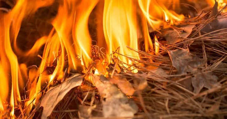 Stage 1 fire restrictions in Jefferson County to take effect Friday