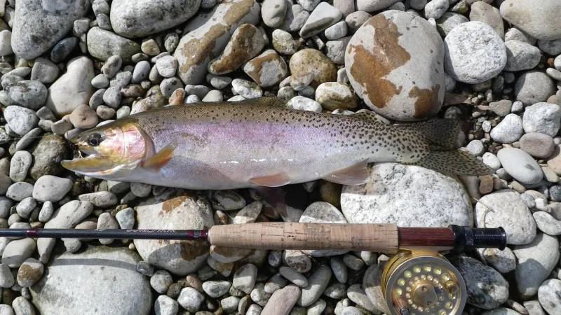 Fly Fishing and Outdoor Festival brings music, conservation to Ennis