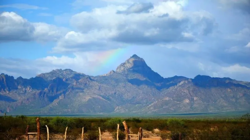 Judge denies Tohono O'odham Nation bid to block border wall