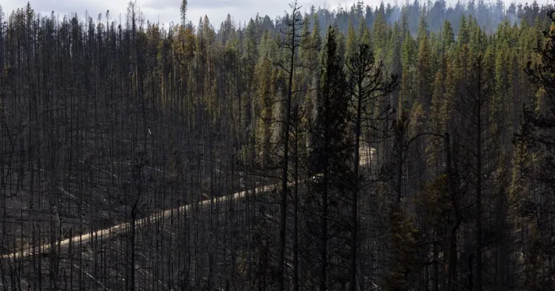 Some Sand Creek evacuees return home; FEMA to help pay for fire response