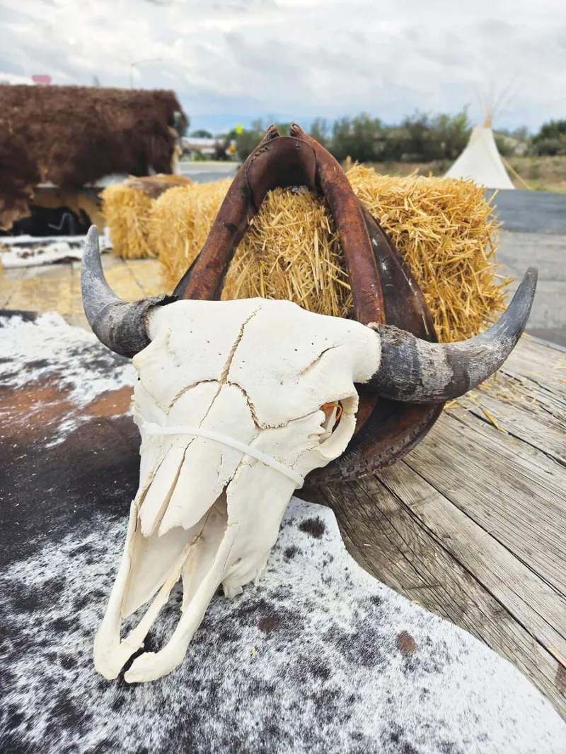 Lost Hawk Rendezvous in Whitehall, MT
