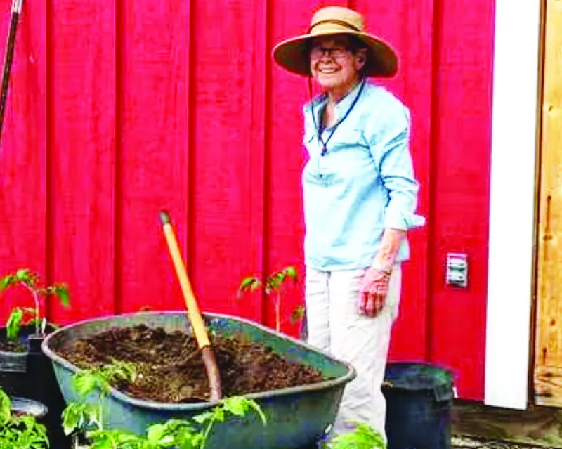 Mary Ellen Stenso Pernichele