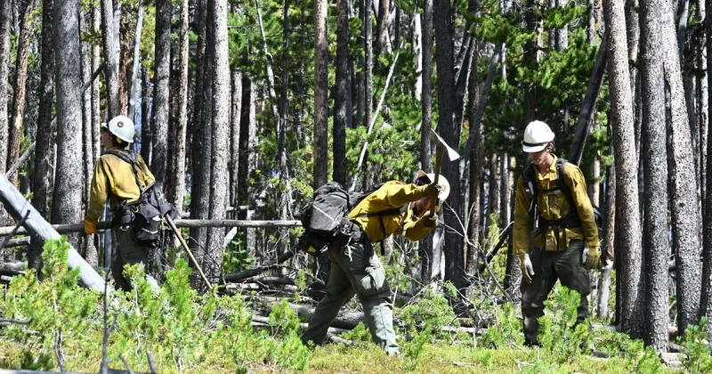 Winds, drier weather could increase behavior on wildfires in SW Montana this week, officials say