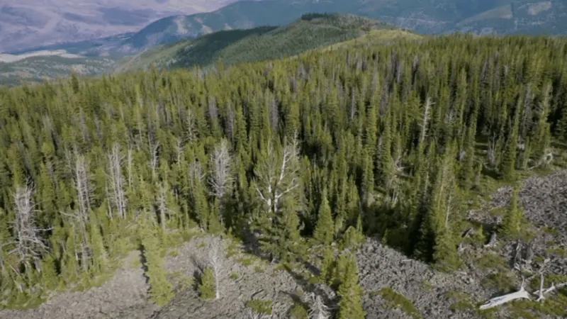 Lawmakers cheer, conservation groups protest changes to roadless rule