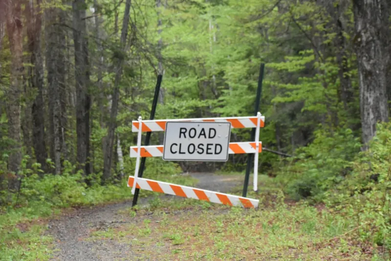 Could Ending the Roadless Rule Help Montana's Wildfire Problem?