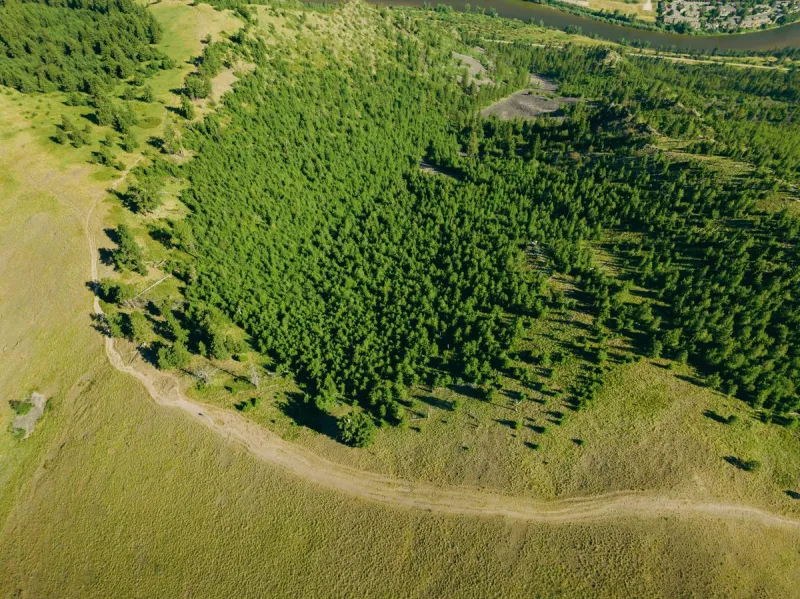 Montana's Roadless Areas Face A Major New Federal Threat