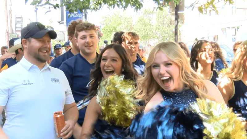 14th Annual MSU Community Cat Walk