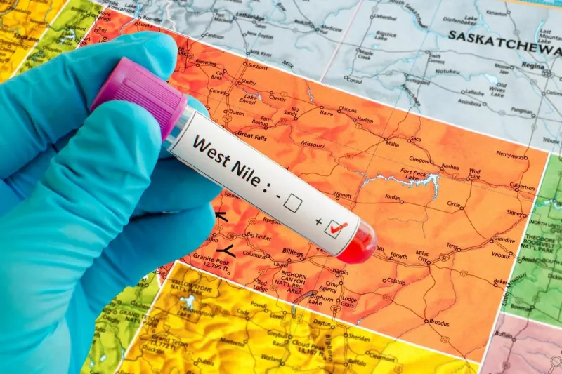 Montana Mosquitoes Are Now Carrying West Nile Virus