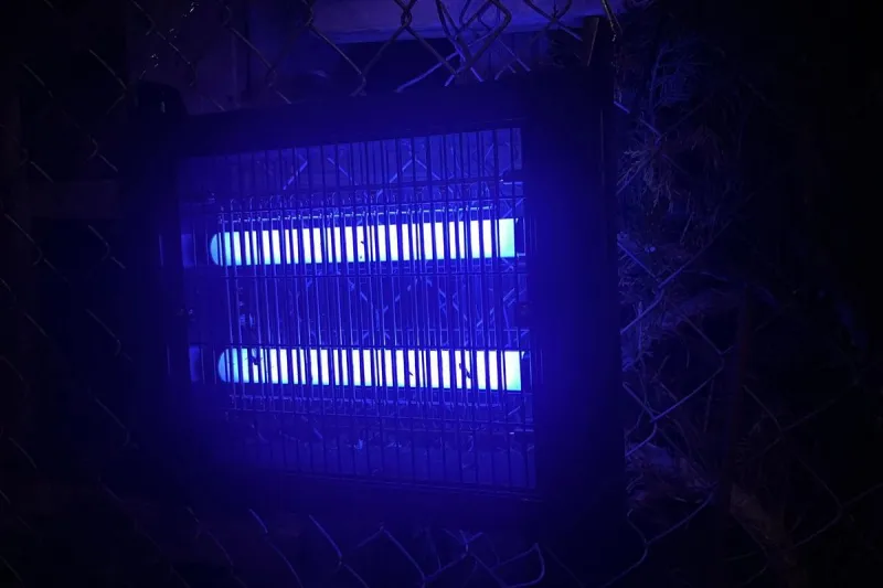Montana"s Mosquitoes Are Bad. Is Your Bug Zapper Actually Helping?