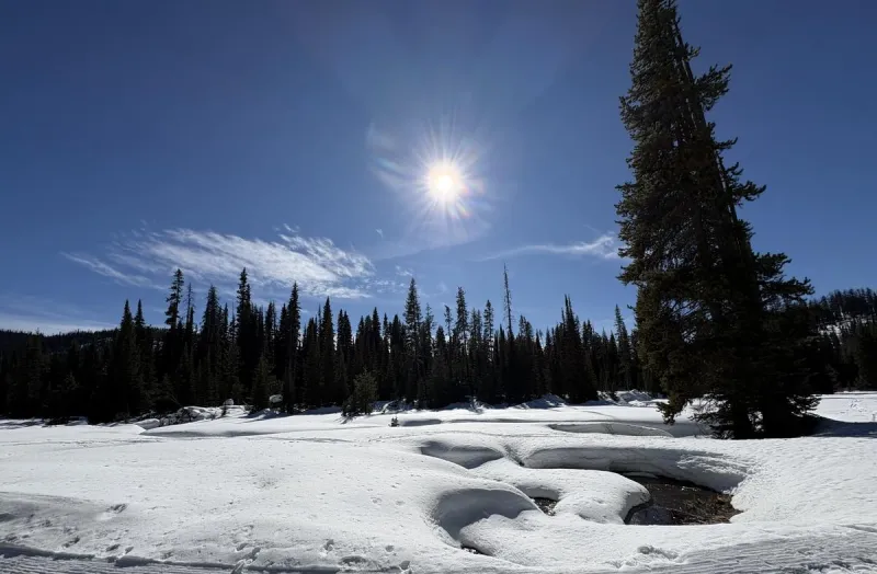 NOAA's Updated Montana Winter Forecast Isn't Great News for Snow