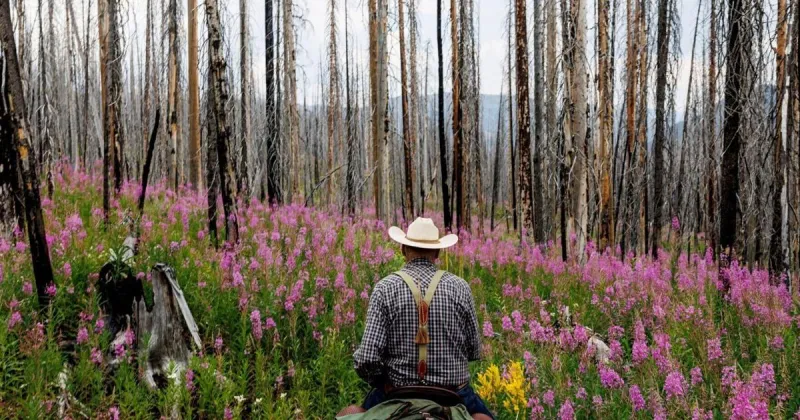 Montana is growing. That makes our roadless lands more important, not less | Mack Long