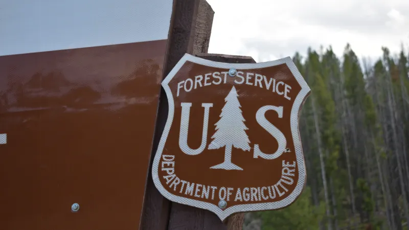 Battle Ridge Fire reaches 40% containment on Bozeman Ranger District