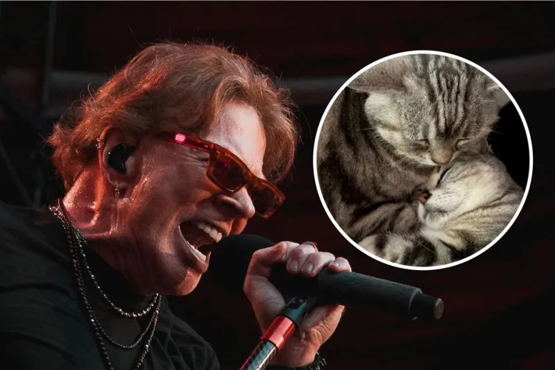 Axl Rose Mourns Cat Whiskey Maranello Rose, See Photos of His Cats Over the Years