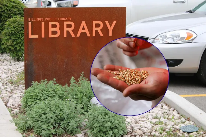 Save Your Seeds: Billings Workshop Will Show You How