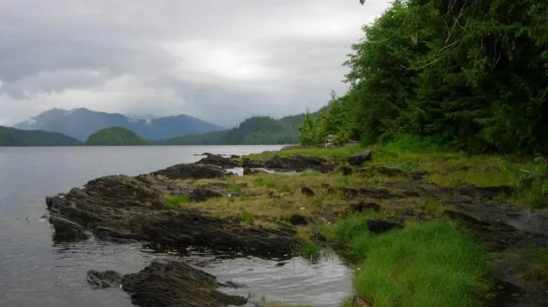 Alaska tribe sues feds to stop logging in Tongass National Forest