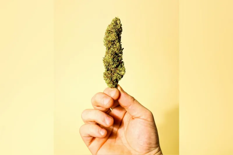 Whitefish Woman Brought This Famous Cannabis Event To Montana
