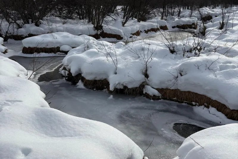 NOAA and Old Farmer's Almanac Disagree on Montana's Winter