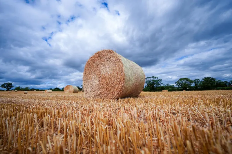 Montana Suspends Trucking Rules to Rush Hay to Ranchers