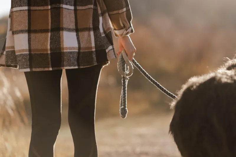 Bear Attacks Woman Walking Her Dog in Montana