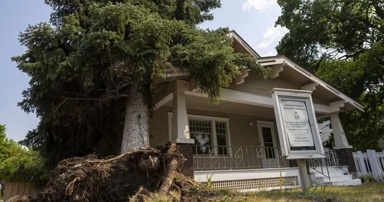 FEMA awards $2.5M to Missoula for 2024 windstorm damage
