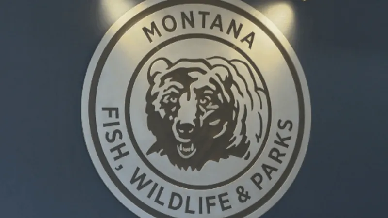 FWP to host bear-aware office hours in Kalispell