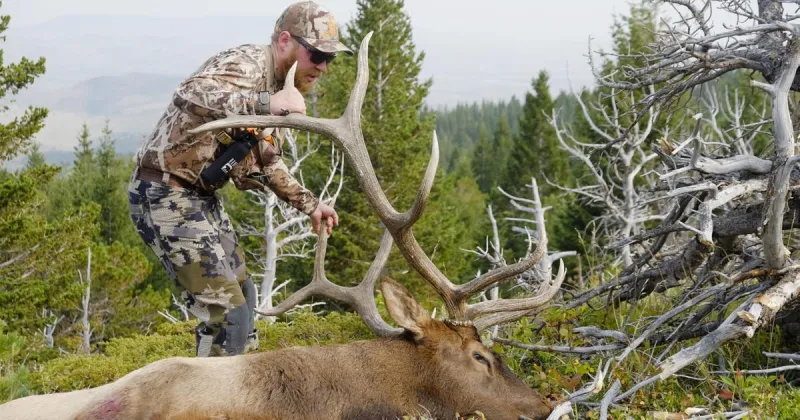 Southwest Montana hunting forecast: Elk numbers strong, more pronghorn, deer vary by area