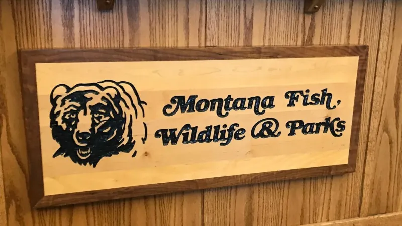 Grizzly bear attack north of Columbia Falls a 'defensive encounter', carcass nearby