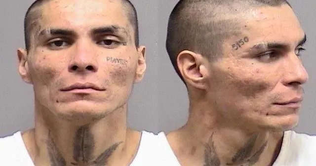 Final defendant in Billings carjacking homicide pleads guilty
