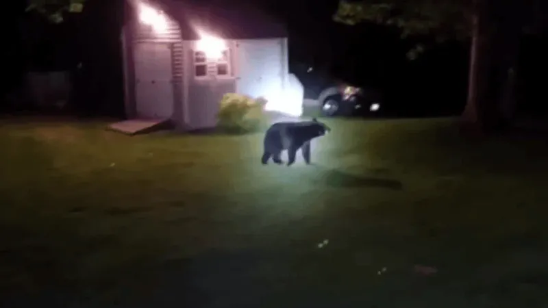 NBC MT Today: Hiker confrontation in GNP, Bozeman bear containers, weekend showers