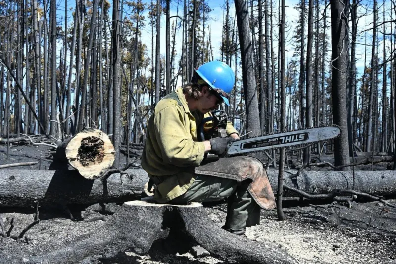 Montana Fires Slowing Down After This Week's Weather