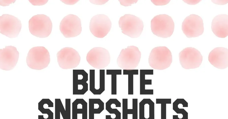 News brief: Butte Animal Shelter shares July statistics