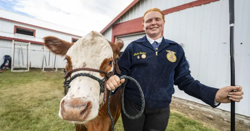 'It's just fun': Local kids show steers at the Ravalli County Fair