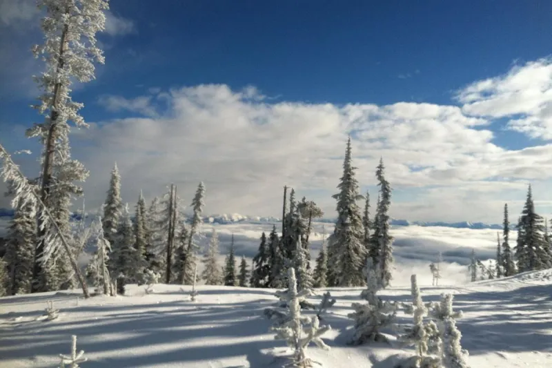 Montana Skiers May Not Like NOAA's Winter Forecast