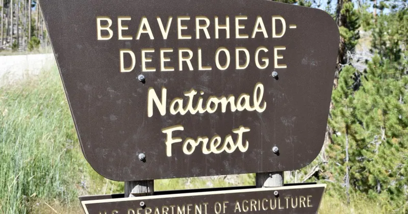 Corey Lewellen named permanent Beaverhead-Deerlodge Forest supervisor