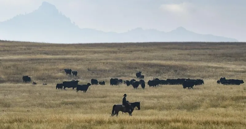 Capital High students dig into public lands debate from a cattle rancher's perspective