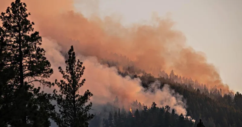Rains help douse active Bitterroot fire season, including Skalkaho blaze