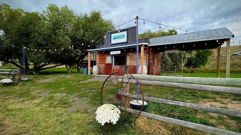 Benefit concert near Amsterdam to support Montana families facing Alzheimer's, dementia