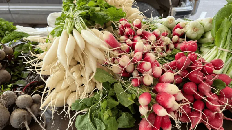 September weather brings unique challenges for farmers