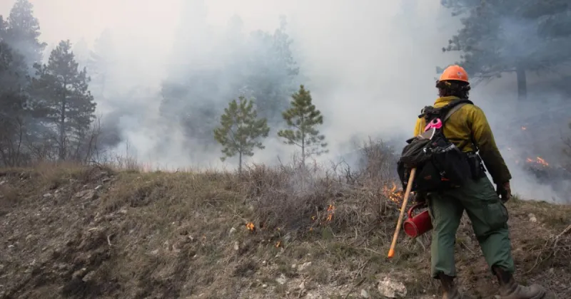 Several weeks of planned prescribed burns in Helena area set to start Wednesday