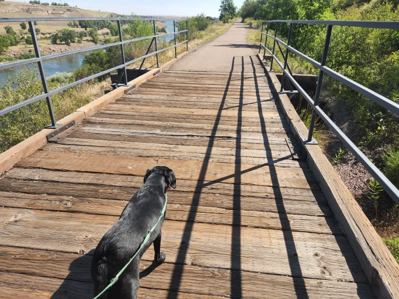 Portion of River's Edge Trial closed for bridge deck replacement