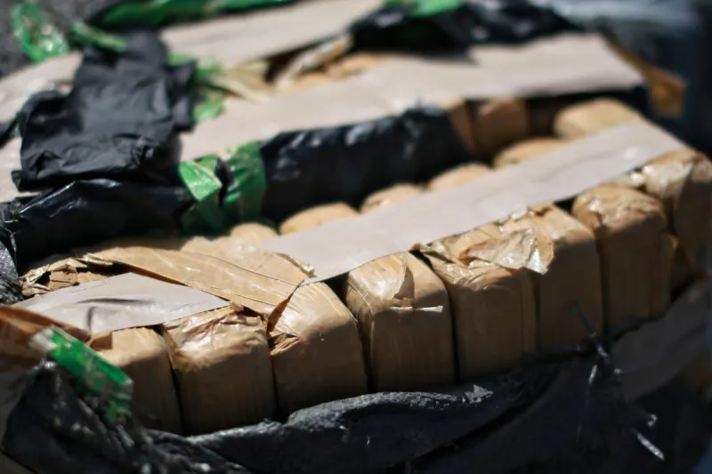 Nearly 200 Bricks of Cocaine Seized at Montana-Canada Border