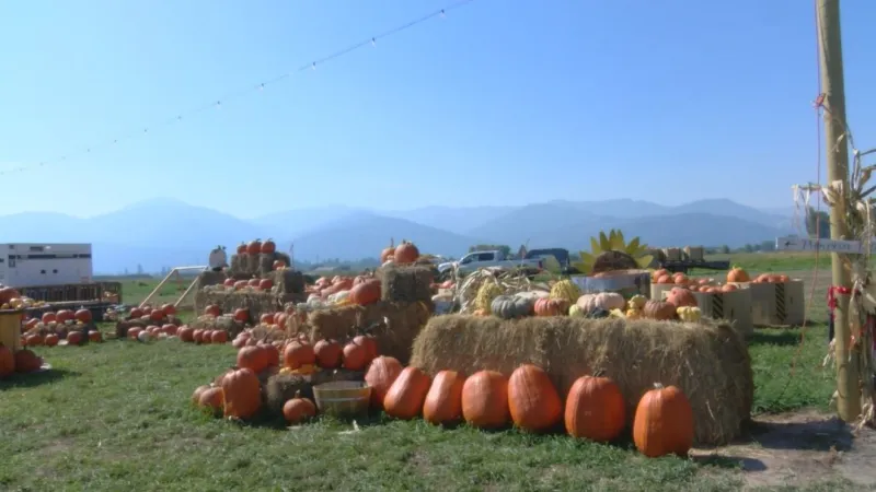 2nd annual Missoula Fall Fest kicks off this Friday