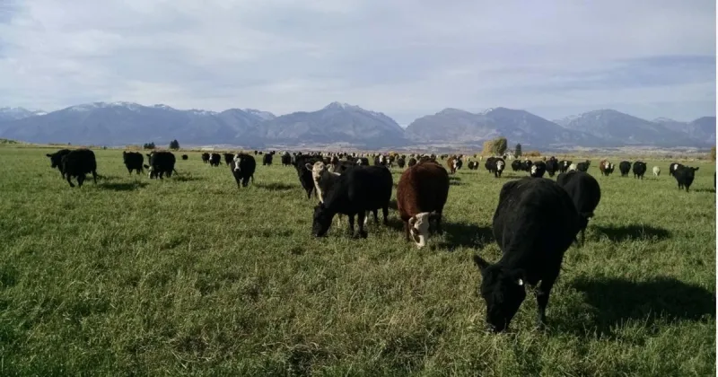Commissioners approve Chesebro Ranch conservation easement