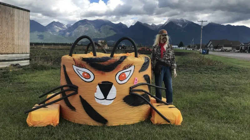 Ronan's Trail of Bales returns for fall season