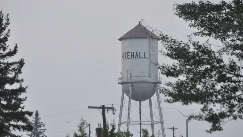 Whitehall Harvest Festival brings family fun Saturday