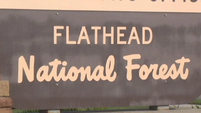 Flathead National Forest plans fall prescribed burns