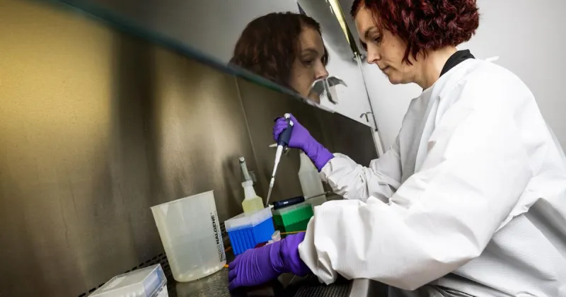 As Ebola again spreads in Africa, a researcher seeks to stop it in the Bitterroot