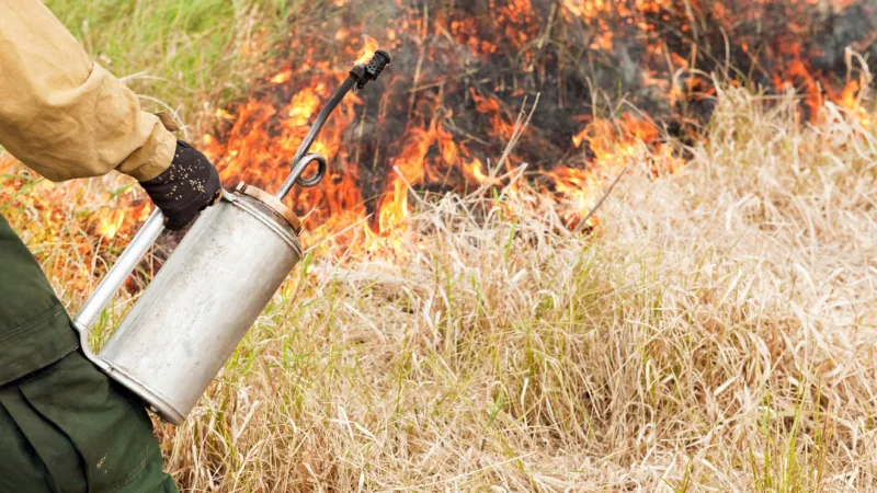 Prescribed burn planned near Missoula, smoke expected to be visible